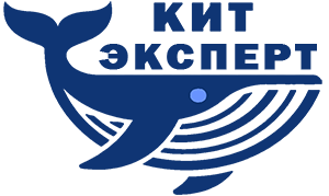 КИТ Эксперт